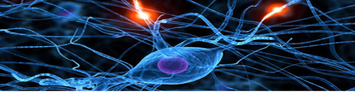 Master  Neurofisiologia Clinica