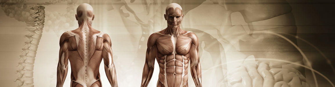 Master Neuroriabilitazione e Rieducazione funzionale muscolo-scheletrica