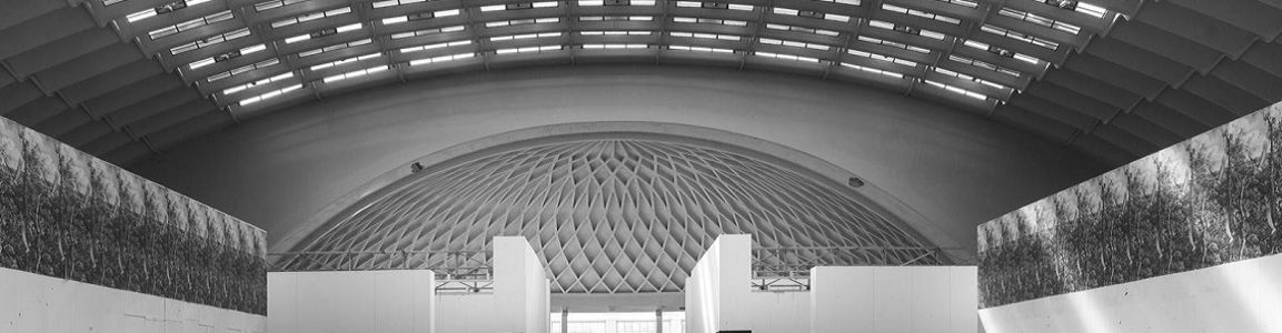 Pier Luigi Nervi palazzo delle esposizioni Torino