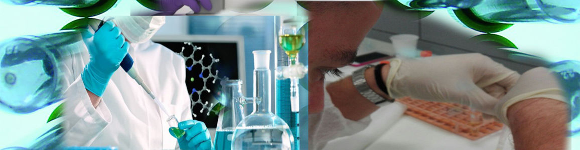 Immagine decorativa web