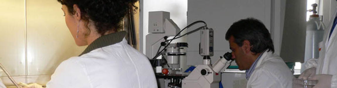 laboratorio