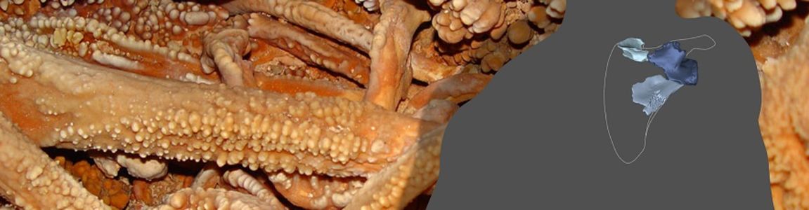 Scapola Altamura Scapola Altamura