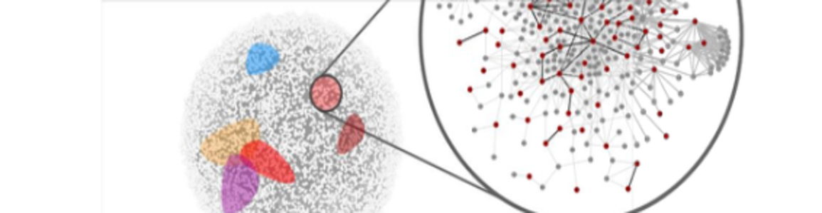 Network Medicine 