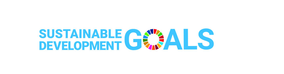 logo degli obiettivi onu