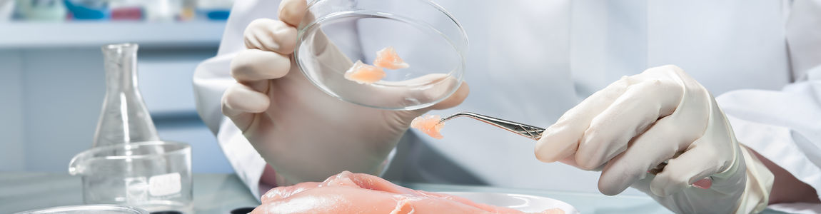 Master Tecniche scientifiche di indagine nel settore alimentare