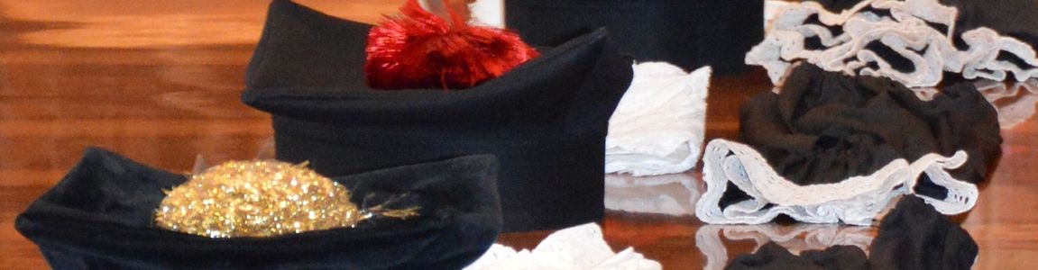 tocchi in sala senato