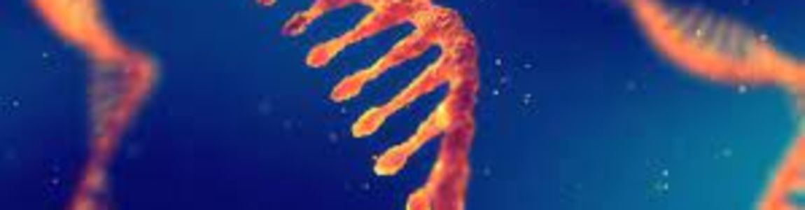 RNA