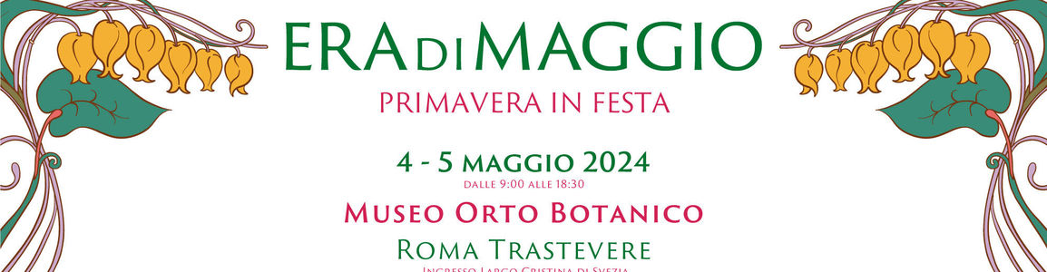 immagine decorativa