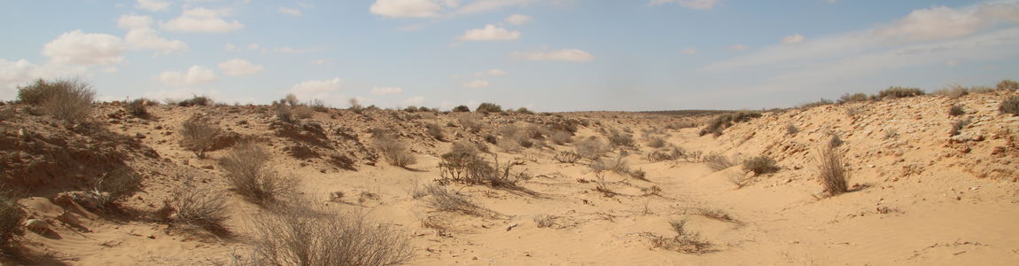credits: Missione Archeologica nel Sahara Sapienza Università di Roma - INP, Tunis  OK PROF 