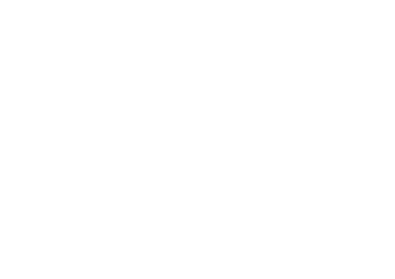 Consigli per il Curriculum Vitae