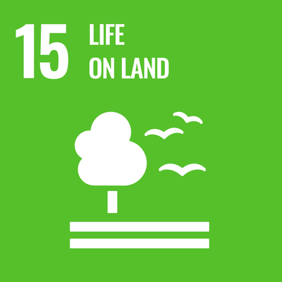 SDG 15: Proteggere, ripristinare e favorire un uso sostenibile dell’ecosistema terrestre