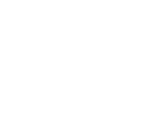 Fondazione Sapienza