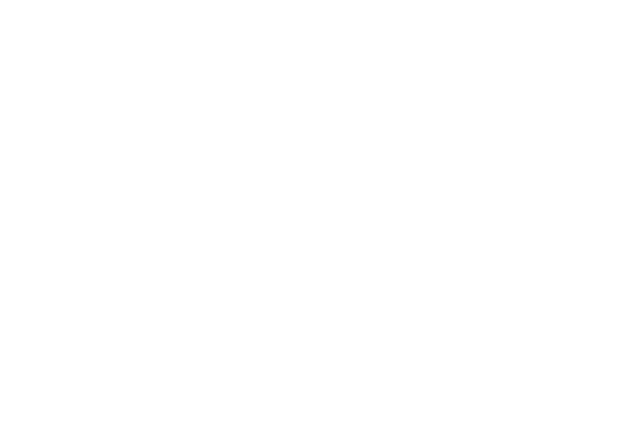 Sustainable Mobility