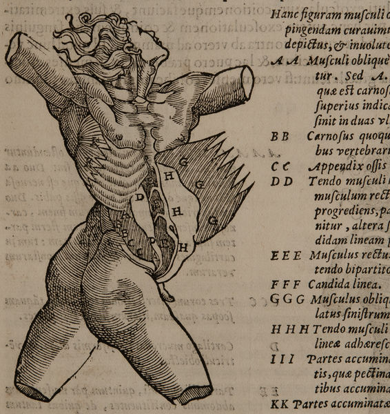 Sapienti e Saperi. Historical images of medicine and portraits of notable figures from the Studium Urbis