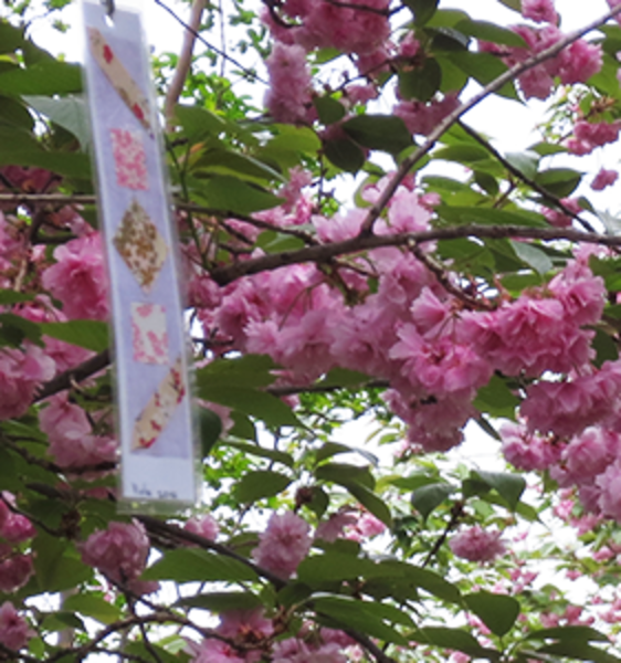 Hanami all