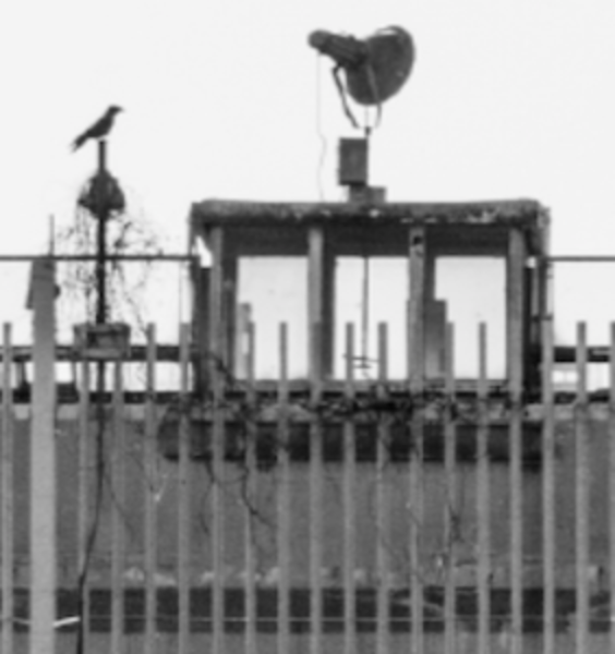 Sapienza&Carcere meets the university community