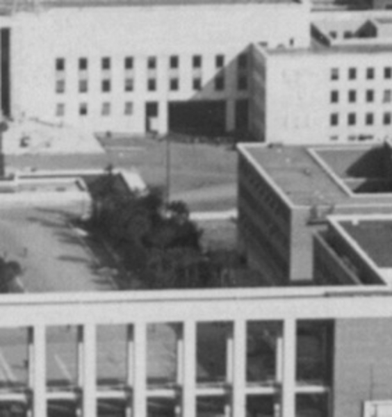 Le città universitarie del XX secolo e la Sapienza di Roma