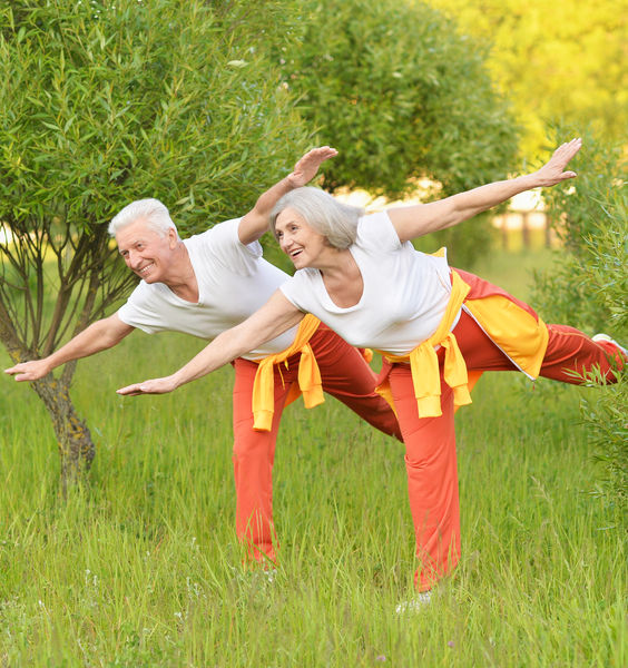 Rejuvenating Muscles: Sapienza Researchers Characterized the Molecular Mechanisms to Block Muscle Ageing