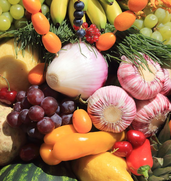 Metrofood-it: l’infrastruttura di ricerca per accelerare il rafforzamento del sistema agroalimentare italiano