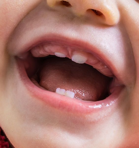 Neandertal come noi: i loro neonati avevano gli stessi tempi di svezzamento dell’Homo sapiens