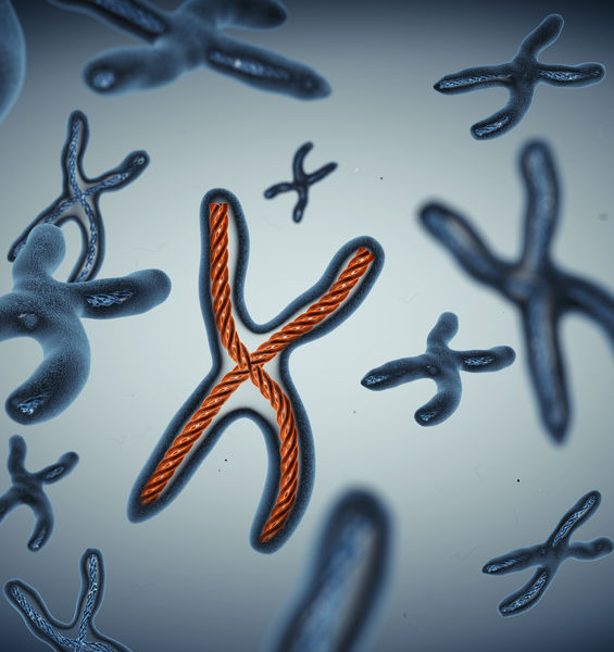 Misure sperimentali e simulazioni al calcolatore per contrastare la crescita delle cellule tumorali