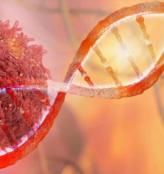 Radiazioni ionizzanti: quando a basse dosi proteggono il DNA