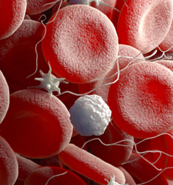 Albumina contro Covid-19: avviata con successo la sperimentazione clinica