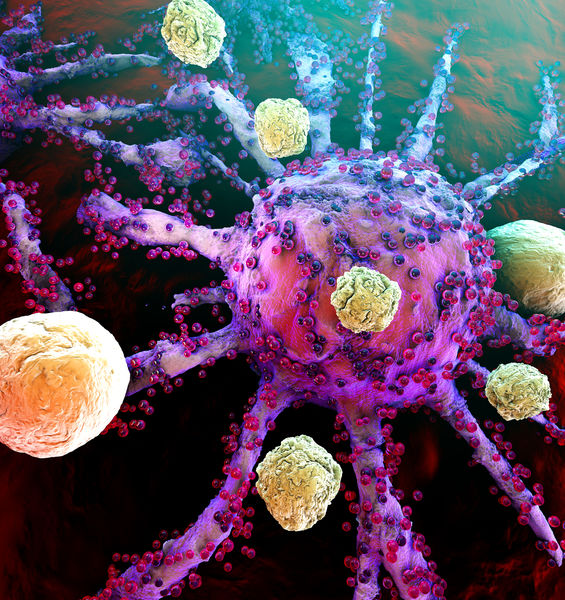 Biomarcatori definiscono la fitness immunologica necessaria per la risposta clinica all’immunoterapia dei pazienti oncologici 