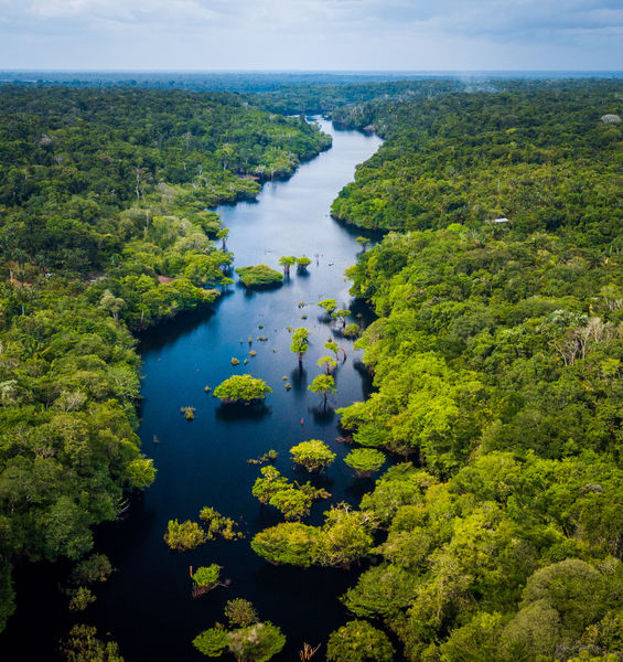 Le aree importanti per la biodiversità contribuiscono al benessere dell’umanità
