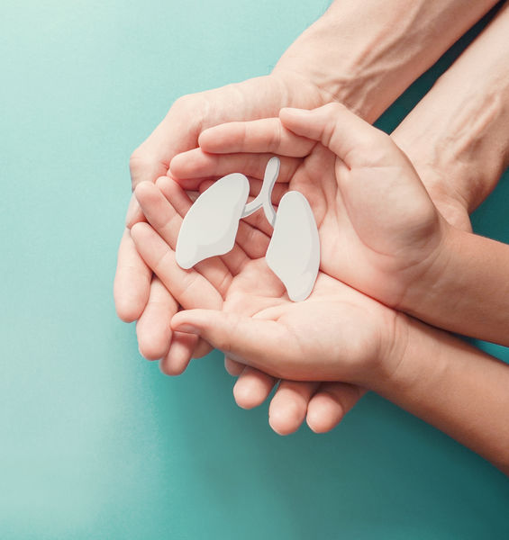 Fibrosi cistica, riprogrammate le cellule respiratorie dei pazienti per testare farmaci più efficaci