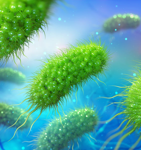 Comunicazione cervello-ambiente. Il ruolo dei microrganismi intestinali