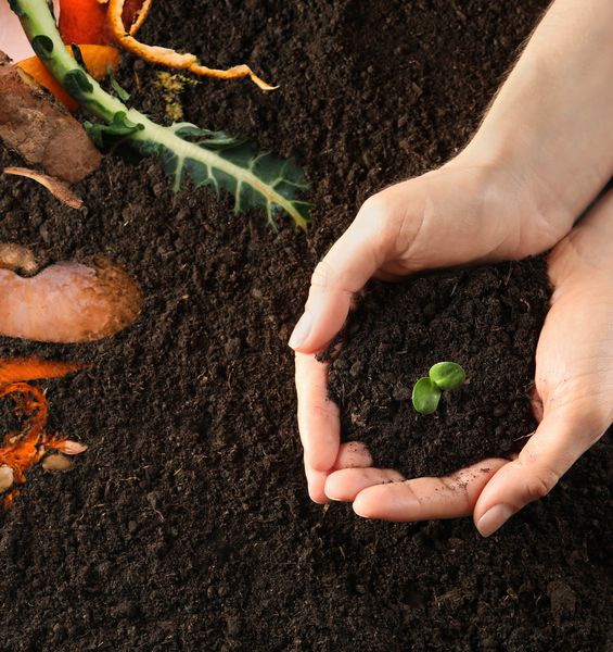 Dagli scarti nascono i fior: il riciclo degli scarti delle produzioni alimentari per un futuro sostenibile