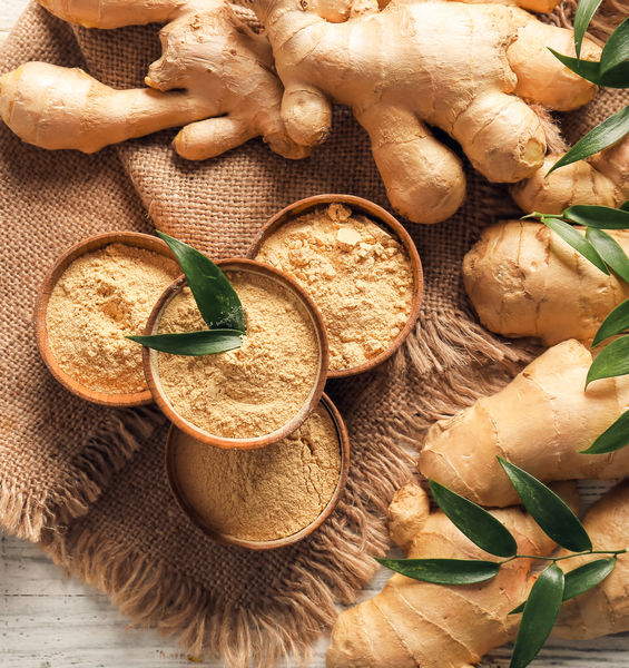 Lo zenzero come ingrediente medicinale nella cura della lebbra nell’Europa medievale