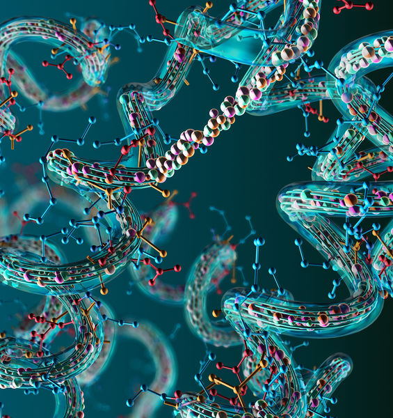 Nuove frontiere per il trattamento della SLA. La proteina HuD, un nuovo possibile target terapeutico