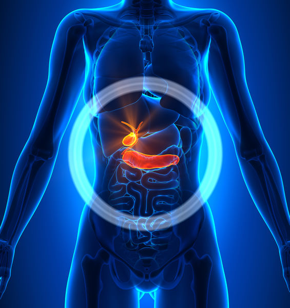 Un nuovo approccio farmacologico per ridurre la progressione del tumore pancreatico