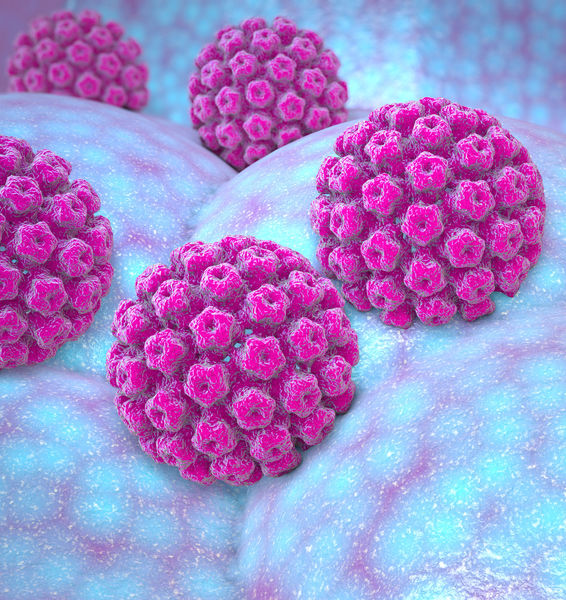 Giornata di sensibilizzazione contro le infezioni da Papilloma virus