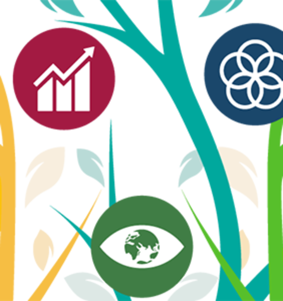 Al via il corso in Scienze della sostenibilità: la transizione culturale, ecologica e digitale
