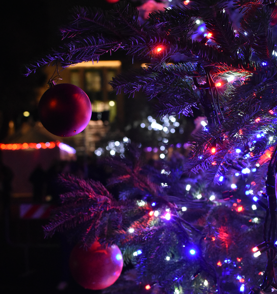 Natale solidale alla Sapienza