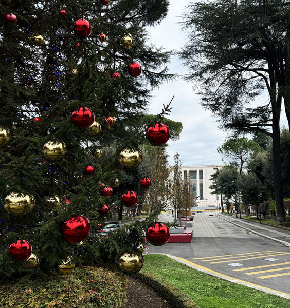 Chiusura per le festività natalizie