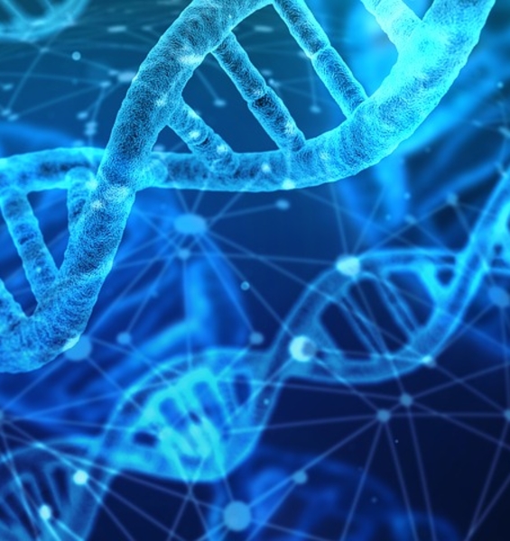 Il Laboratorio Europeo di Biologia Molecolare (EMBL) ha conferito una prestigiosa carica ad una docente Sapienza