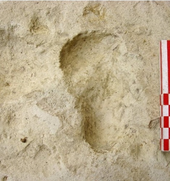 Scoperte orme di bambino risalenti a 700 mila anni fa in Etiopia (Gombore II-2 a Melka Kunture)