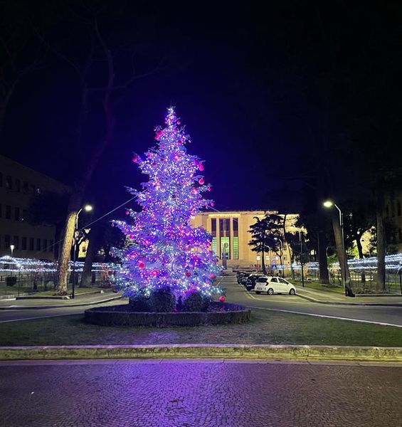 Chiusure per le festività natalizie