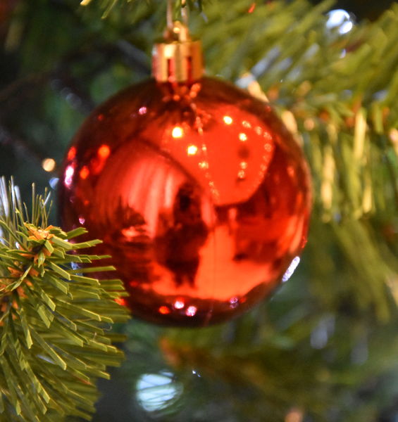Natale Sapienza solidale. Un tuo contributo in aiuto dei più fragili
