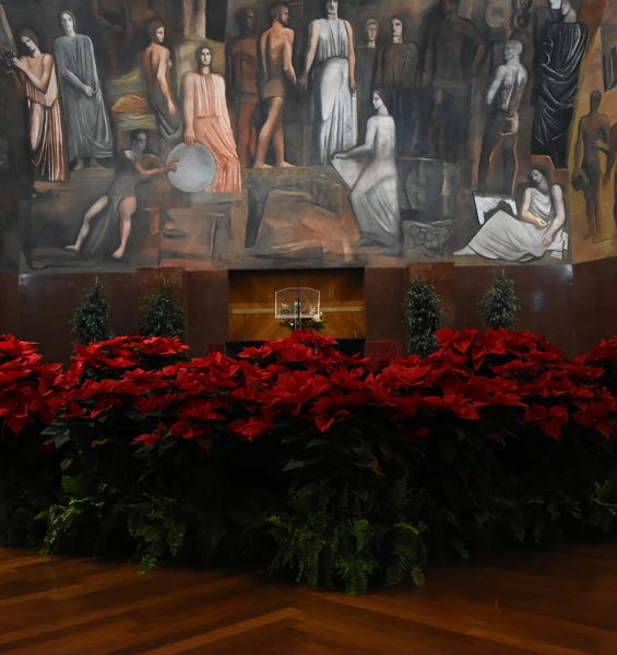 Auguri della Rettrice e della Direttrice generale alla comunità universitaria