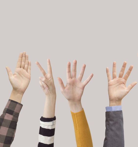 Student elections 2020: programmes and election campaign
