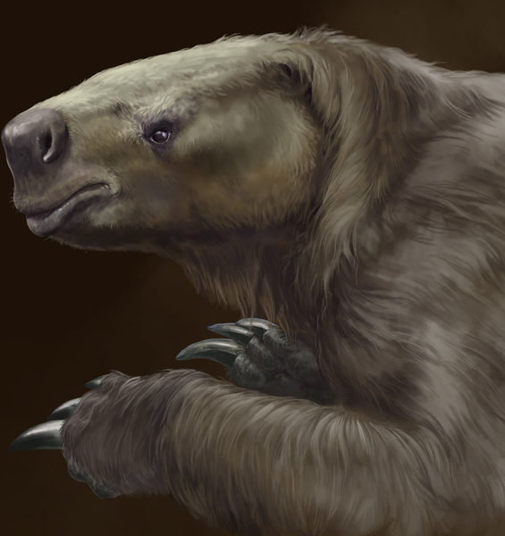 Giganti ma non lenti: i bradipi terrestri del Pleistocene 