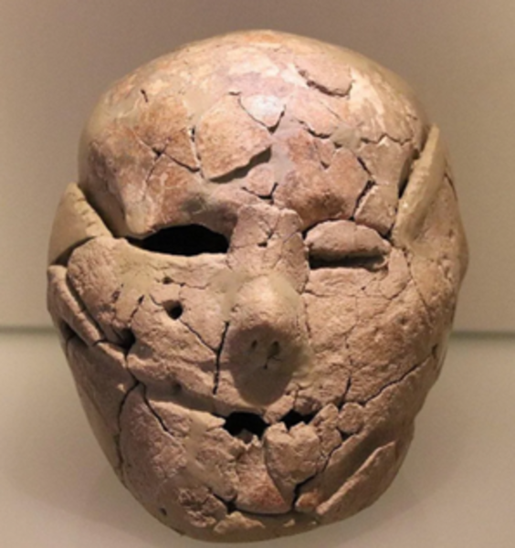 Lingue, agricoltura e migrazioni dal Caucaso ai Balcani: frammenti di DNA risalenti a 11.000 anni fa completano il puzzle di diverse culture umane antiche