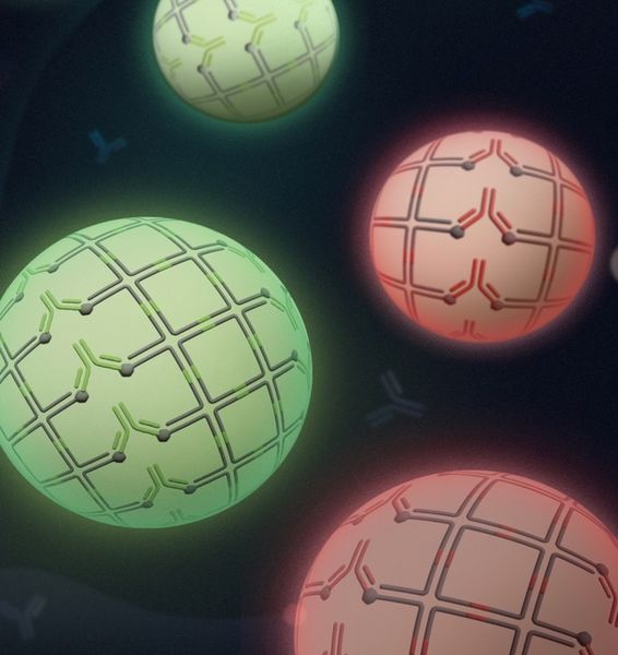 New technology mimics cellular organisation: DNA and antibodies combine for a breakthrough in smart biomaterials