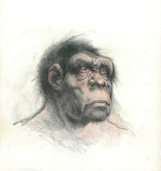 L’ultimo antenato