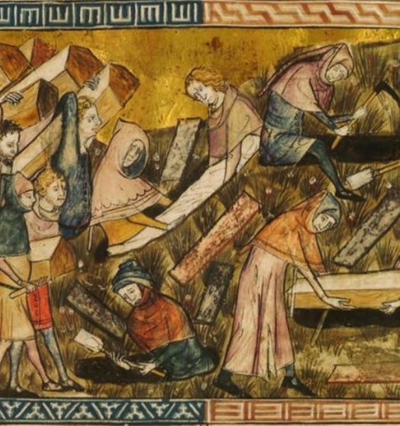 Lo studio del polline fossile ridisegna la portata della Peste Nera in Europa 
